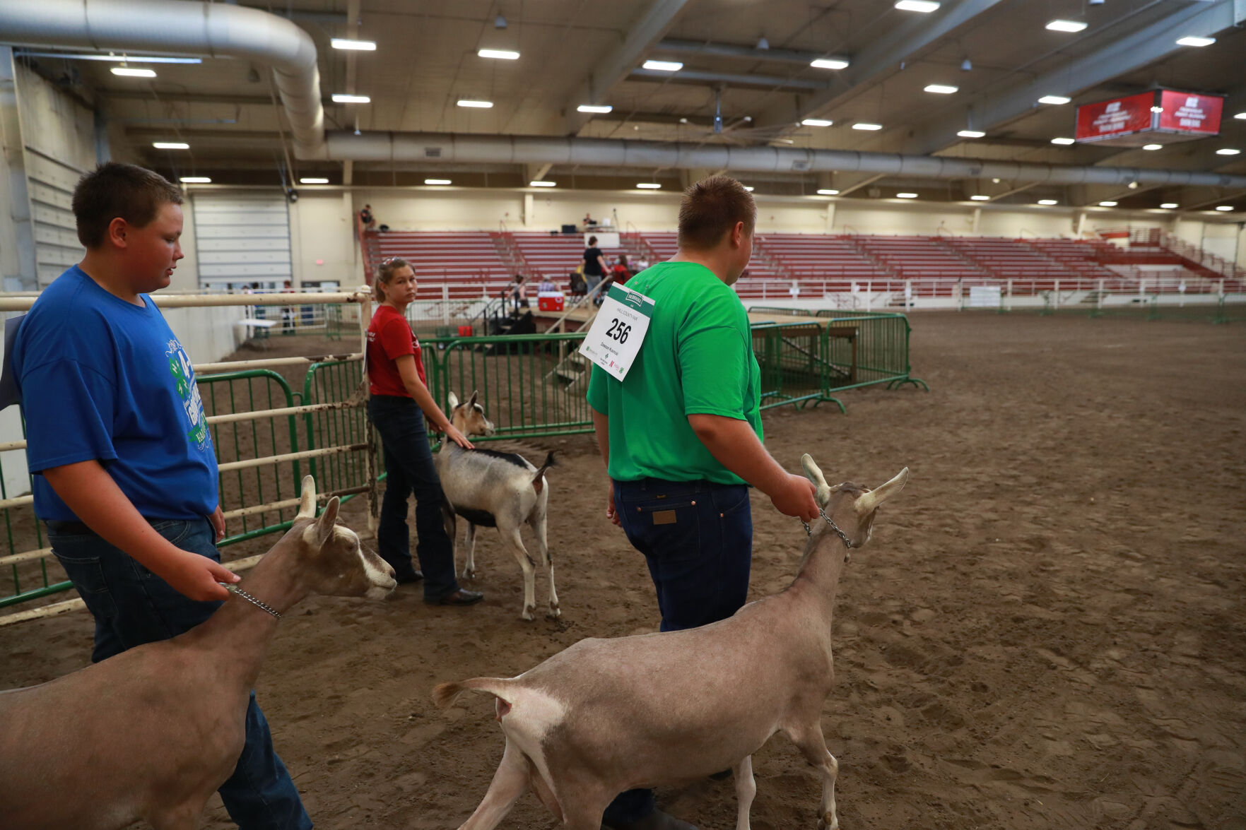 072320_HCFGoatShow024_bjs.JPG